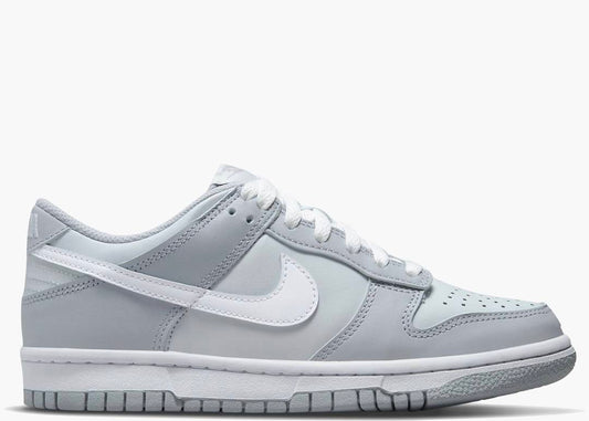 Nike Dunk Low Dos Tonos Gris